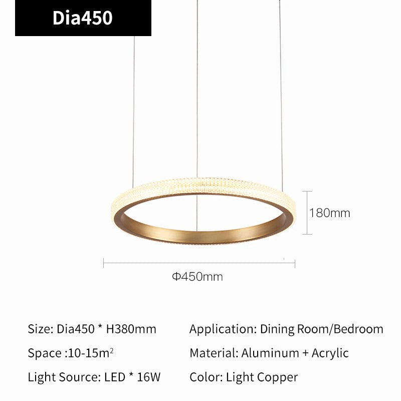 Modern Style Smooth Circle Chandelier
